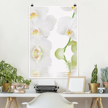 Poster - Orchid Benessere - White Orchid - Verticale 3:2