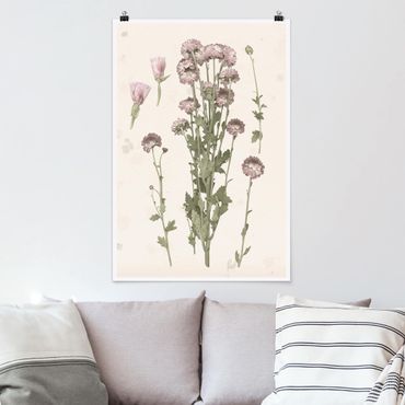 Poster - Herbarium In Pink I - Verticale 3:2