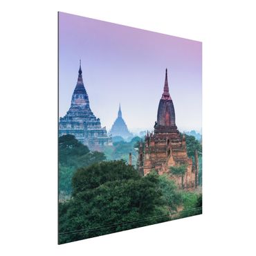 Stampa su alluminio - Edifici sacri a Bagan