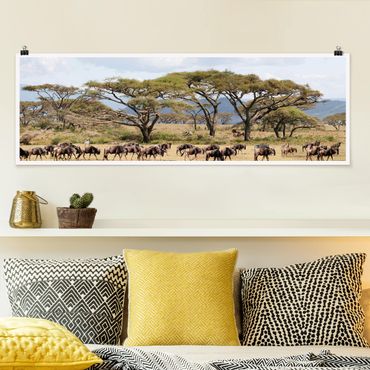 Poster - Mandria di GNU nella savana - Panorama formato orizzontale