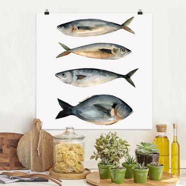 Poster - Quattro pesci in acquerello I - Quadrato 1:1