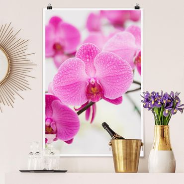 Poster - vicino Orchid - Verticale 3:2