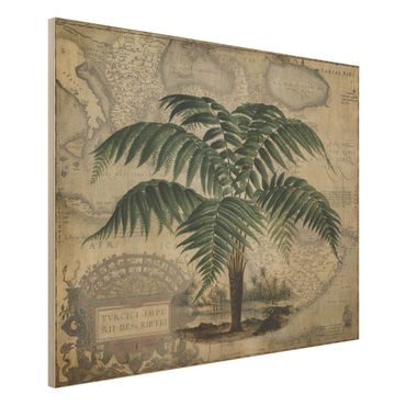Stampa su legno - Vintage Collage - Palm e mappa del mondo - Orizzontale 3:4