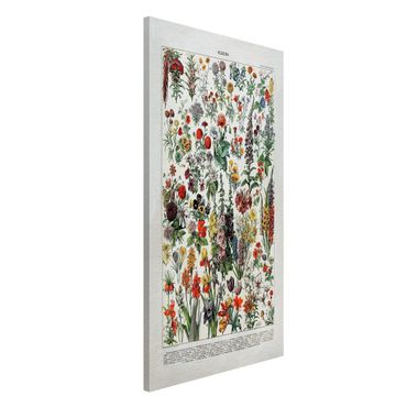 Lavagna magnetica - Vintage Consiglio Flowers IV - Formato verticale 4:3