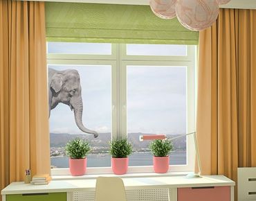 Adesivi da finestra no.3 elephant
