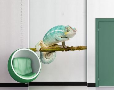 Adesivo murale no.151 Blue Chameleon