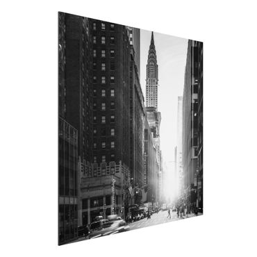 Stampa su alluminio - Vivace New York