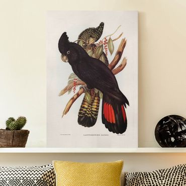 Stampa su tela - Illustrazione Vintage Black Cockatoo Nero Oro - Verticale 3:2