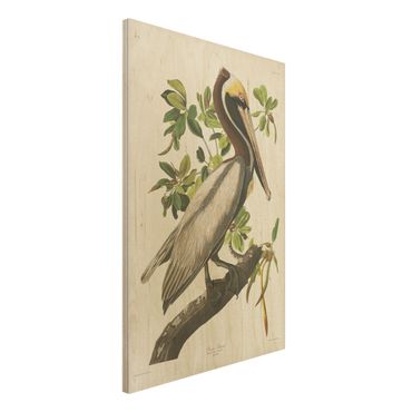 Stampa su legno - Vintage Consiglio Brown Pelican - Verticale 3:2