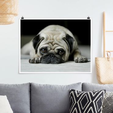 Poster - Pug Loves You - Orizzontale 3:4