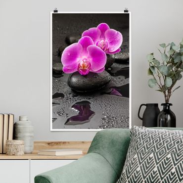 Poster - Pink Orchid Fiori Sulle Pietre Con Le Gocce - Verticale 3:2