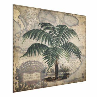 Stampa su alluminio spazzolato - Vintage Collage - Palm e mappa del mondo - Orizzontale 3:4