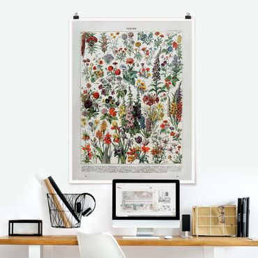 Poster - Vintage Consiglio Flowers IV - Verticale 4:3