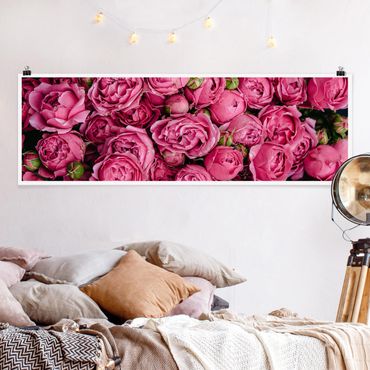 Poster - Peonie rosa - Panorama formato orizzontale