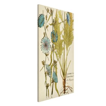 Lavagna magnetica - Vintage Botanica In Blue Cicoria - Formato verticale 4:3