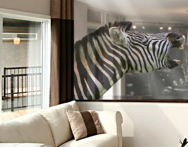Adesivi da finestra no.490 Rawling Zebra