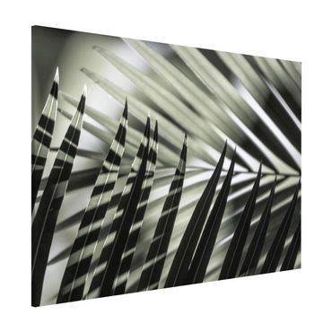 Lavagna magnetica - Giochi di ombre su ramo di palma