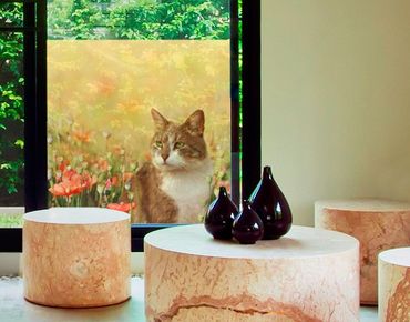 Decorazione per finestre Cat In Poppy Field