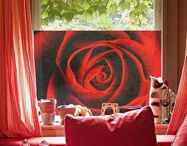Decorazione per finestre Lovely Rose