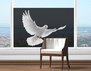 Decorazione per finestre Dove Of Peace