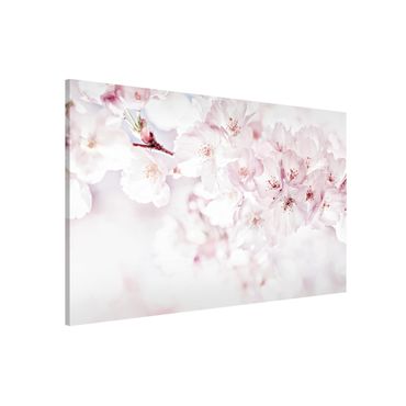 Lavagna magnetica - Tocco di fiori di ciliegio