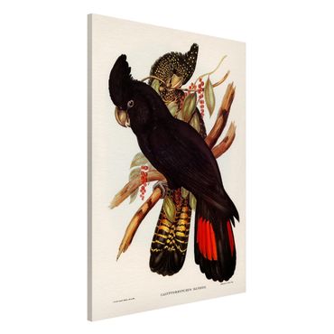 Lavagna magnetica - Illustrazione Vintage Black Cockatoo Nero Oro - Formato verticale 2:3