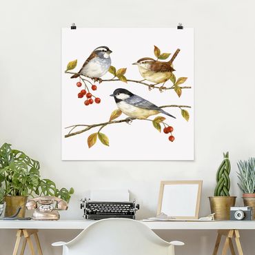 Poster - Uccelli e Bacche - Tette - Quadrato 1:1