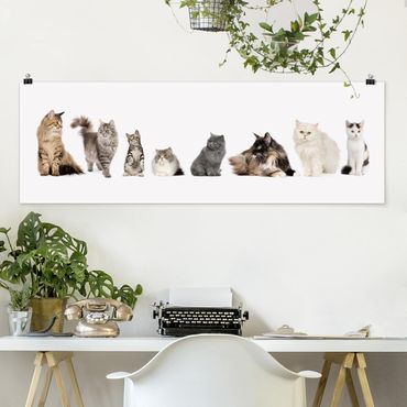Poster - Cat Gang - Panorama formato orizzontale