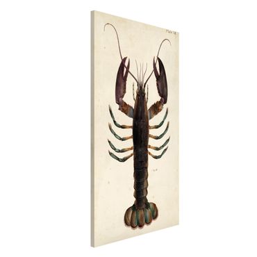 Lavagna magnetica - Vintage Illustrazione Lobster - Formato verticale 4:3