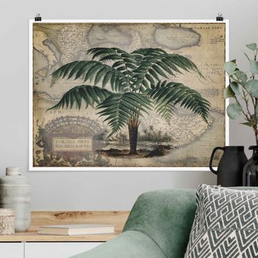 Poster - Vintage Collage - Palm e mappa del mondo - Orizzontale 3:4
