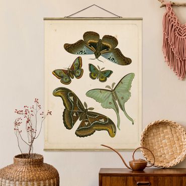 Foto su tessuto da parete con bastone - Vintage Illustrazione di farfalle esotiche II - Verticale 4:3