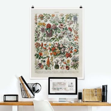 Poster - Vintage Consiglio Flowers II - Verticale 4:3