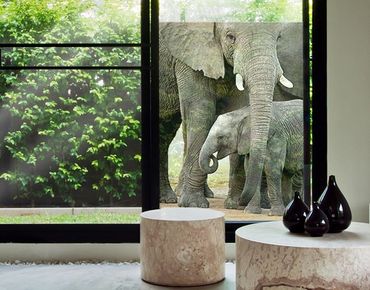 Decorazione per finestre Elephants In Love