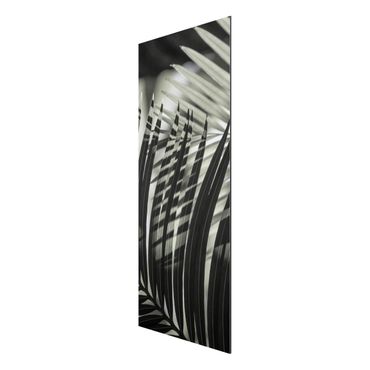 Stampa su alluminio - Giochi di ombre su ramo di palma