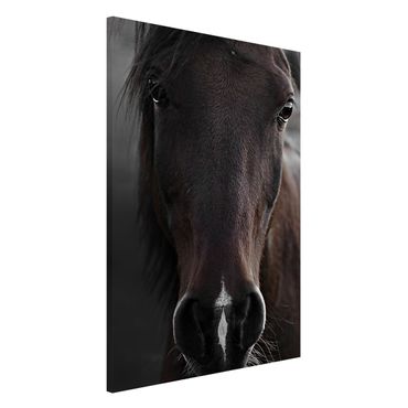 Lavagna magnetica - Cavallo scuro