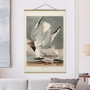 Foto su tessuto da parete con bastone - Vintage Consiglio Bonaparte Gull - Verticale 3:2