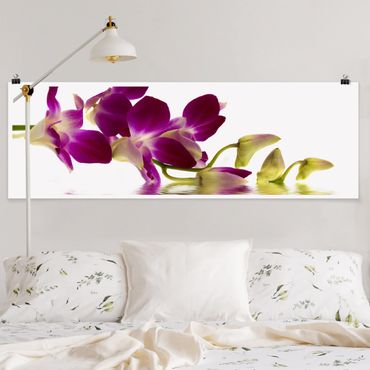 Poster - Pink Orchid Waters - Panorama formato orizzontale