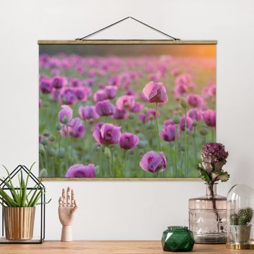 Foto su tessuto da parete con bastone - Viola di papavero Fiore prato in primavera - Orizzontale 3:4