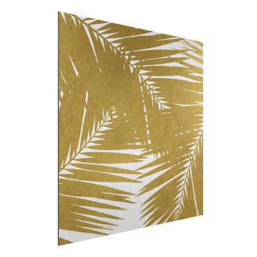 Stampa su alluminio - Scorcio tra foglie di palme dorate