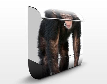 Cassetta postale Attentive Monkey 39x46x13cm
