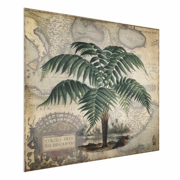 Stampa su Forex - Vintage Collage - Palm e mappa del mondo - Orizzontale 3:4