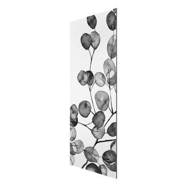 Stampa su alluminio - Ramo di eucalipto in acquerello bianco e nero