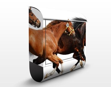 Cassetta postale Horse Drove 39x46x13cm