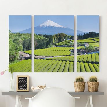 Stampa su tela 3 parti - Tea Fields In Front Of The Fuji - Trittico