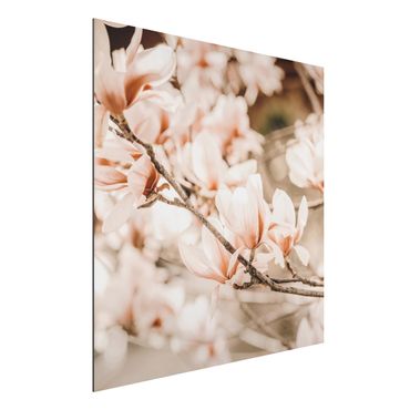 Stampa su alluminio - Ramo di magnolia in stile vintage
