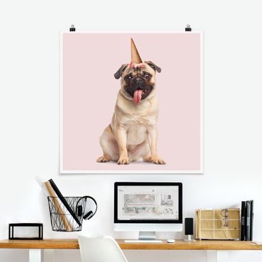 Poster - Pug con cono di gelato - Quadrato 1:1