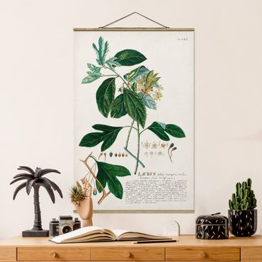 Foto su tessuto da parete con bastone - Vintage botanica Laurel - Verticale 3:2