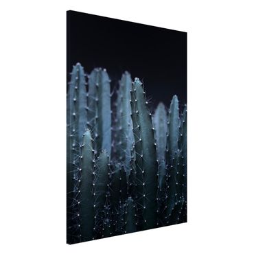 Lavagna magnetica - Cactus del deserto nella notte