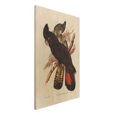 Stampa su legno - Illustrazione Vintage Black Cockatoo Nero Oro - Verticale 3:2