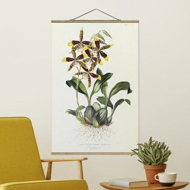 Foto su tessuto da parete con bastone - Maxim Gauci - orchidea II - Verticale 3:2